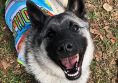 dog smiling