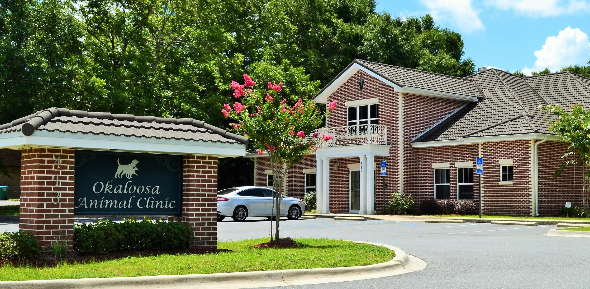 okaloosa animal clinic okaloosa animal clinic